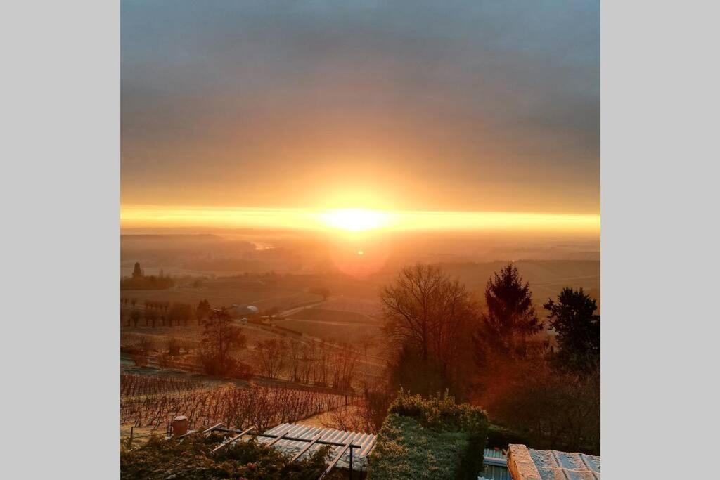 Vue Panoramique Sur Le Vignoble Apartamento Sancerre Exterior foto