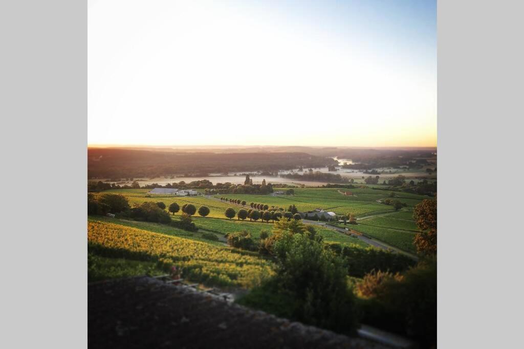 Vue Panoramique Sur Le Vignoble Apartamento Sancerre Exterior foto